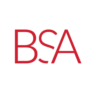 Team Page: BSA LifeStructures